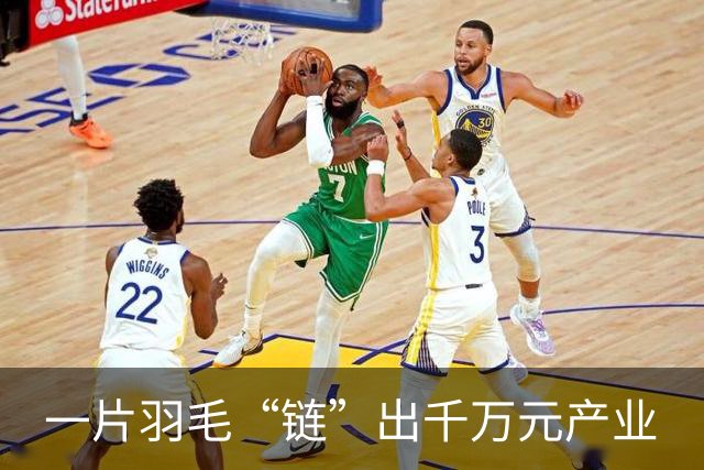 一片羽毛“链”出千万元产业