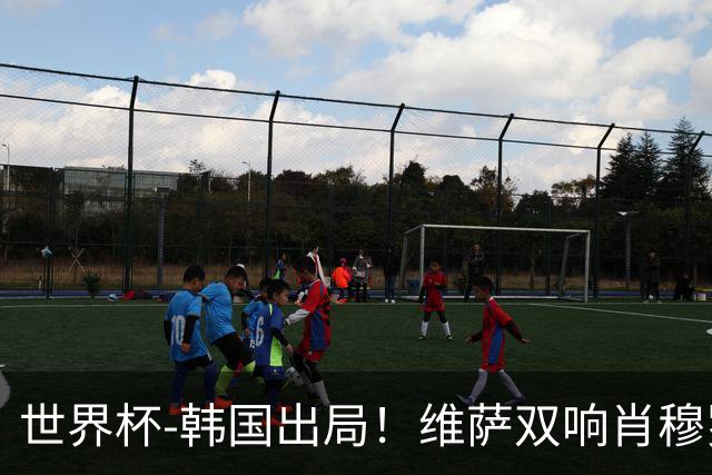 世界杯-韩国出局！维萨双响肖穆罗多夫神仙球 民主刚果3-1乌兹