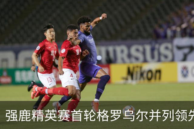强鹿精英赛首轮格罗乌尔并列领先 李昊桐窦泽成T21